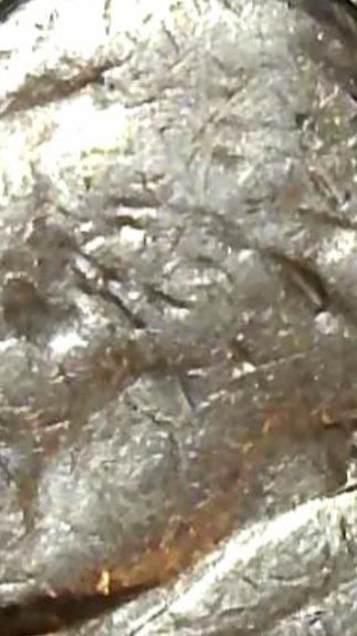 1983-P-Jefferson-Nickel--Die-Clashing?---Spike-Head?