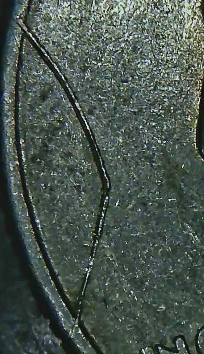 1977-P-Quarter-Rim-To-Rim-Die-Crack/-Pre-Cud-Or-Struck-Through?