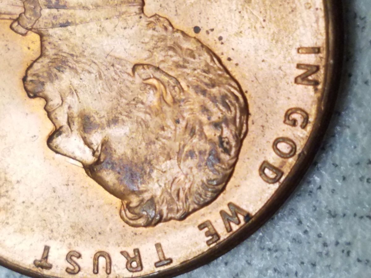 1995-Penny-Possible-Doubling-By-Nose?