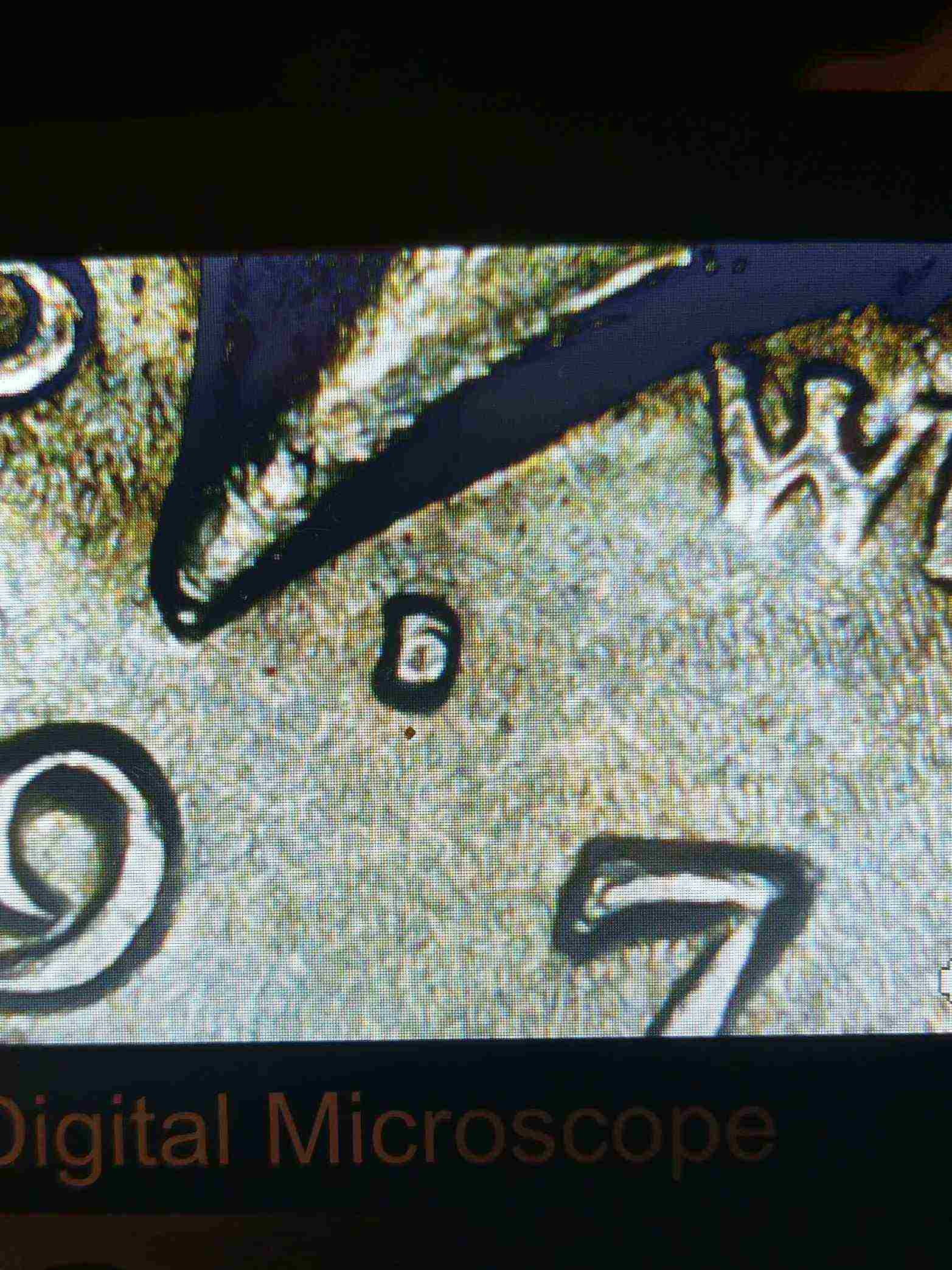 HI-Guys-I'm�coingorilla-Have-A--1972-D-Kennedy-With-Errors