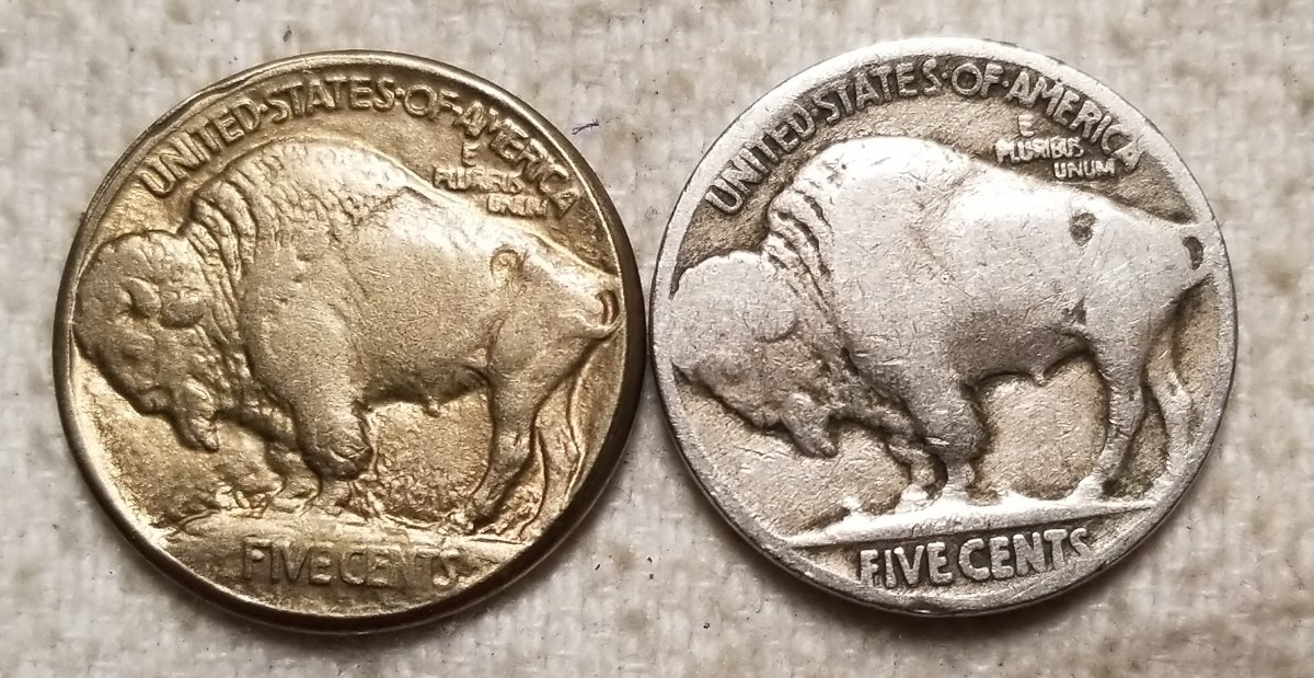 Could-This-1934-P-Buffalo-Nickel-Be-Real?--Five-Cents-On-Raised-Ground