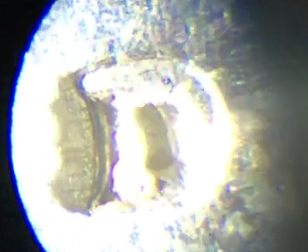 Question-Regarding-1964-D-Quarter-Possible-RPM?