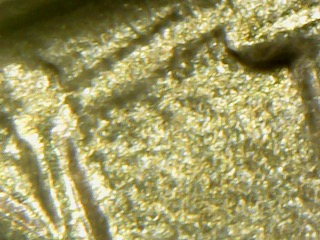 Possible-Late-Die-Stage-1954-S-Jefferson-Nickel-DDR-002-Fs-801?