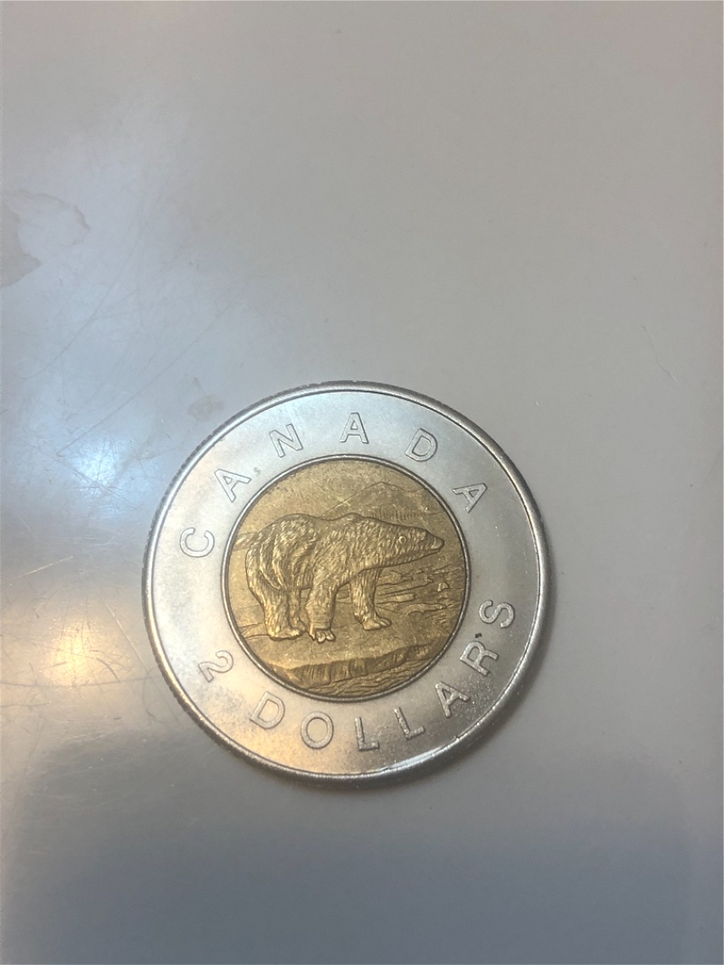 Counterfeit-Toonies-Are-Going-To-Be-A-Significant-Problem