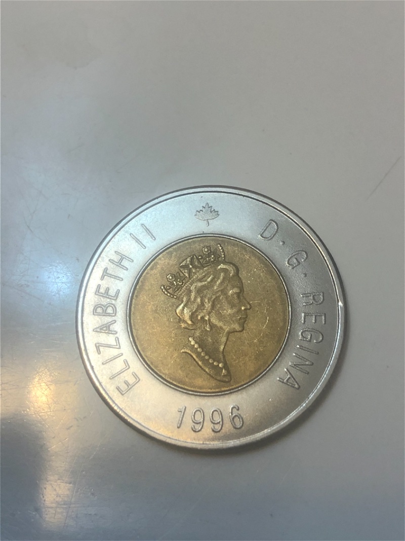 Counterfeit-Toonies-Are-Going-To-Be-A-Significant-Problem