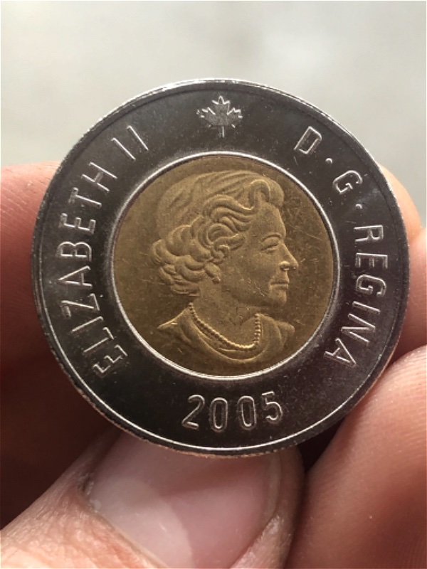 Counterfeit-Toonies-Are-Going-To-Be-A-Significant-Problem