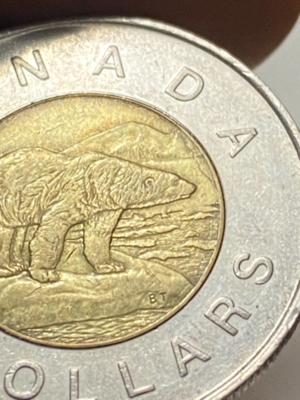 1997-Toonie-Die-Crack?