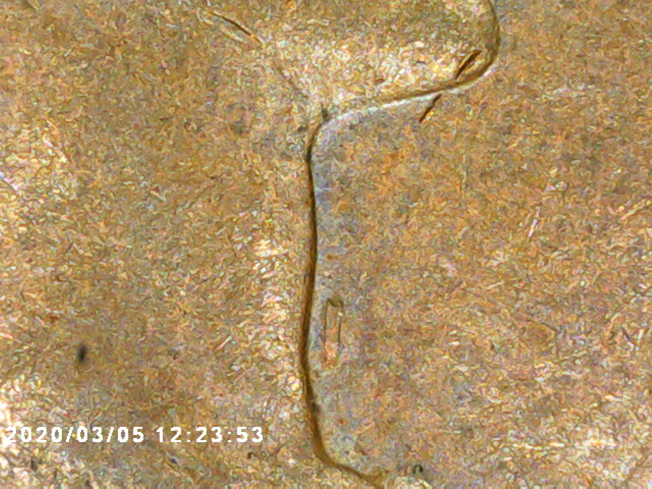 1963-Canadian-Cent-Damage-Or-Not?