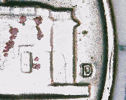 Did-I-Just-Find-The-1964-D/D-Nickel?-Someone-Help!