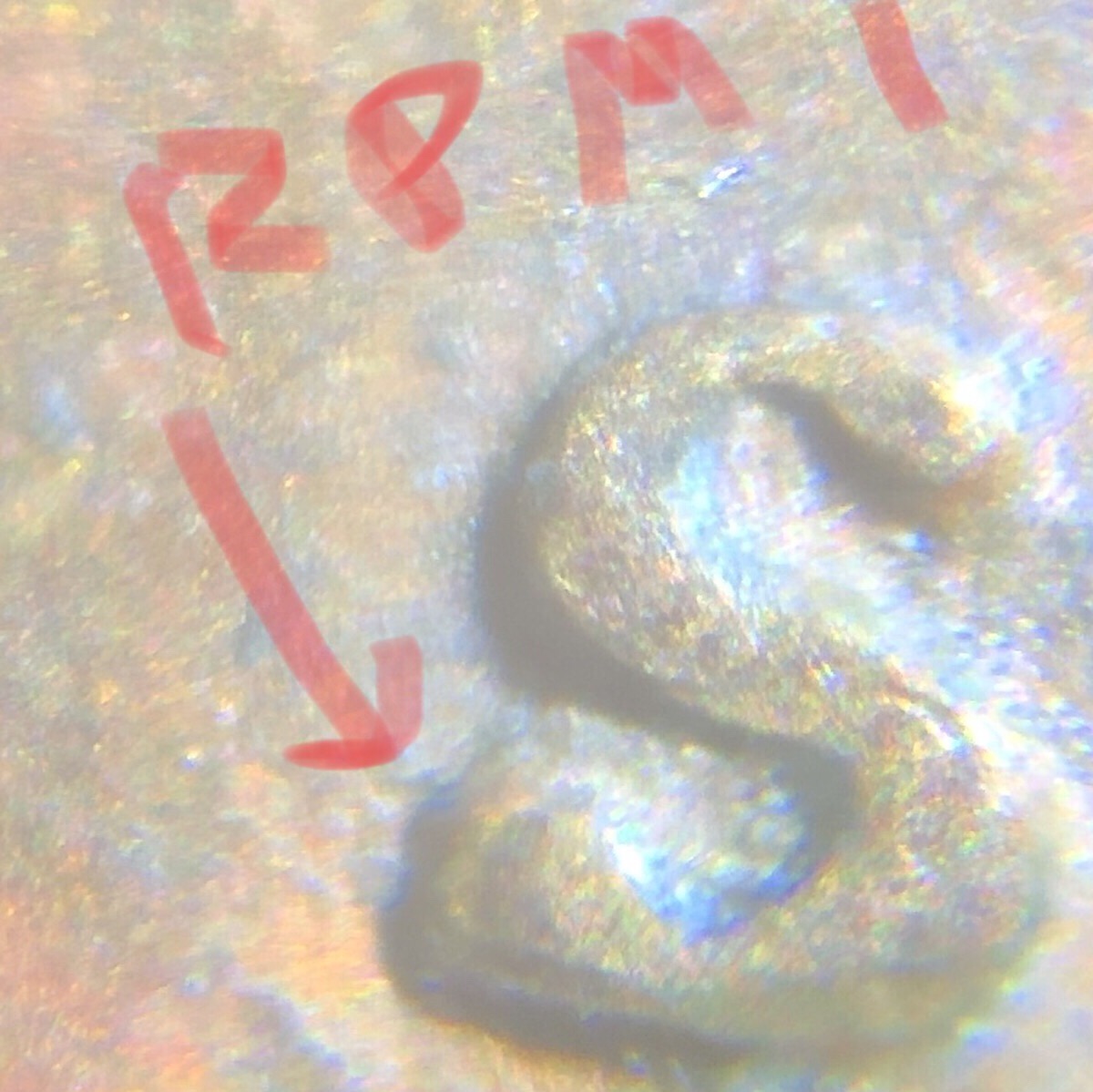 1971-S-LMC-RPM?-Misplaced-Mint-Mark?