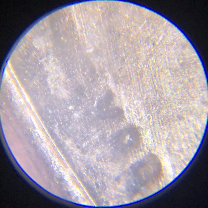2010-D-Lincoln-Shield-Cent-With-Squeeze-Press-Edge?
