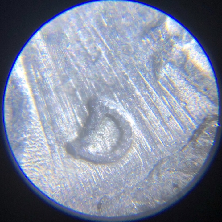 1994-D-Nickel-With-Icicles?