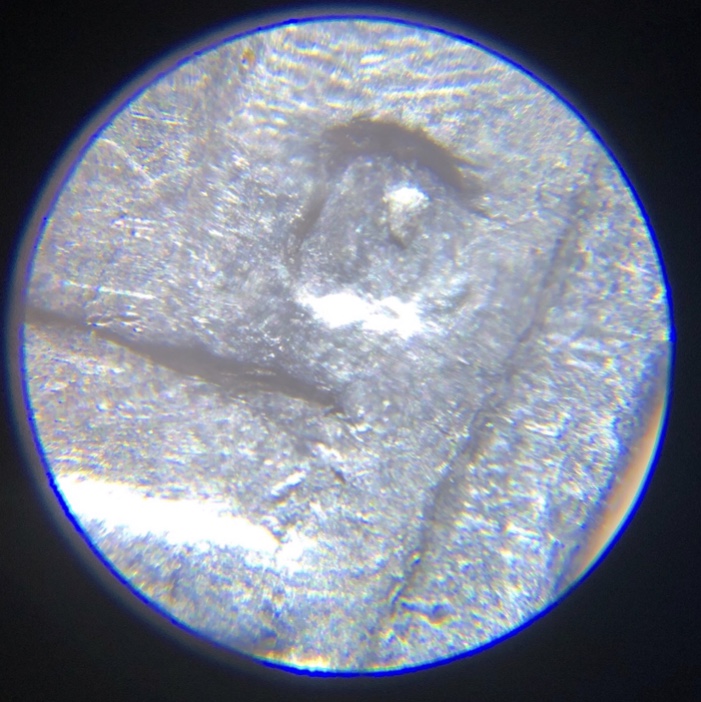 1962-D-Nickel-RPM?-Never-Found-One-Before.