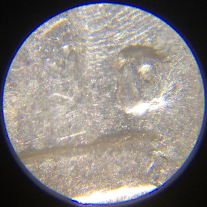 1962-D-Nickel-RPM?-Never-Found-One-Before.