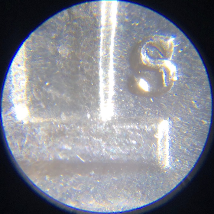 Gold-Toned-1954-S-Nickel-OMM?