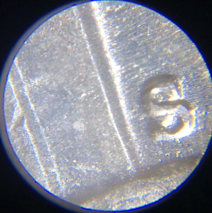 Gold-Toned-1954-S-Nickel-OMM?