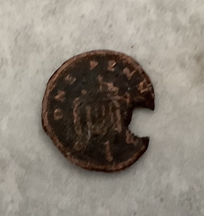 OH-Dear.-This-Poor-Penny.