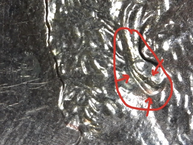 2005-D-Penny---Is-This-A-DDO-On-The-Earlobe?