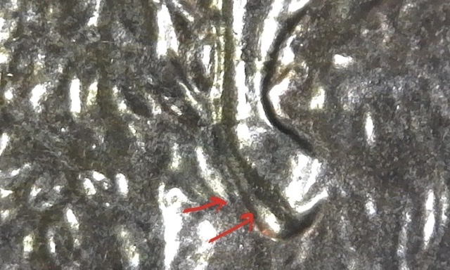 2005-D-Penny---Is-This-A-DDO-On-The-Earlobe?