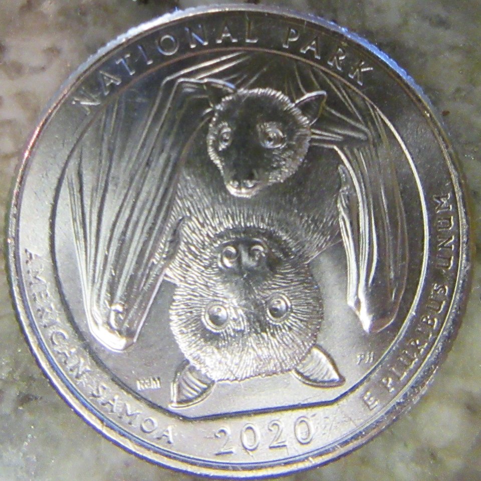 Samoan-Quarter-Reposted-With-Correct-Pics