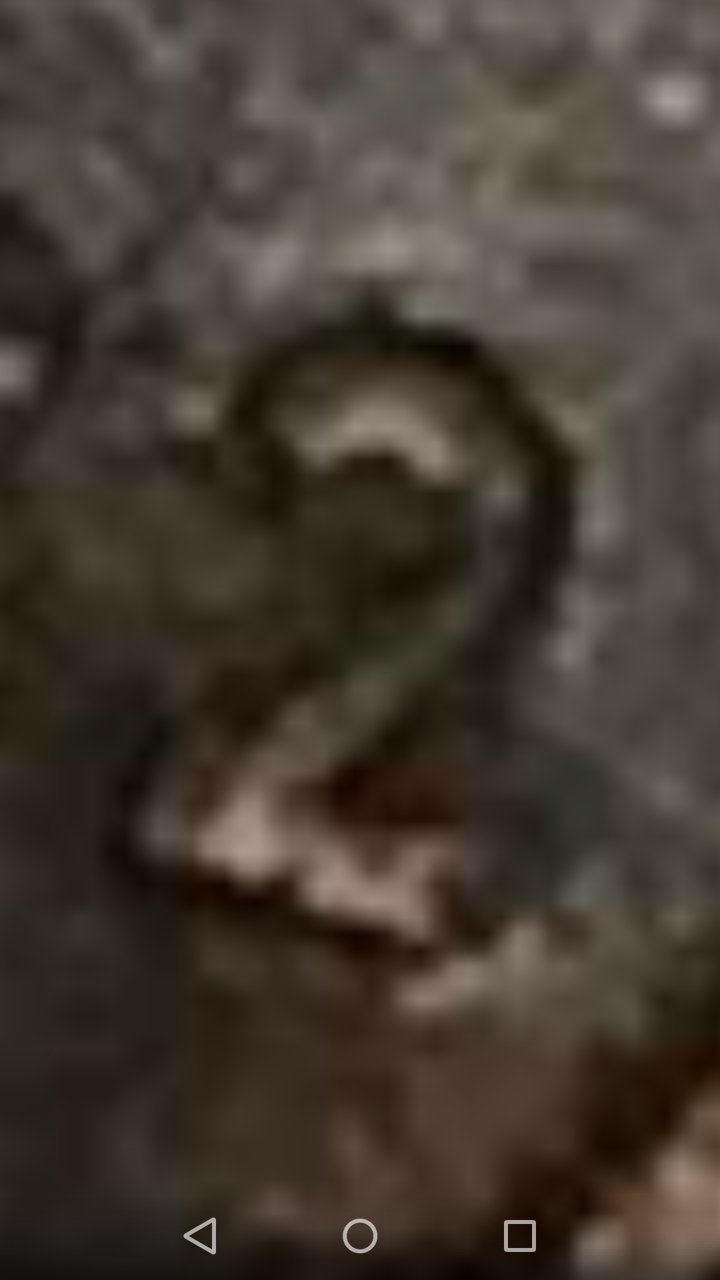 Possible-Small-Date-1982-D-LMC?
