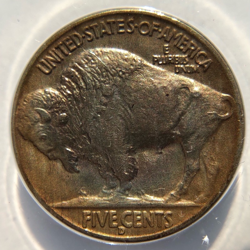 My-ANACS-Submission-Of-Buffalos