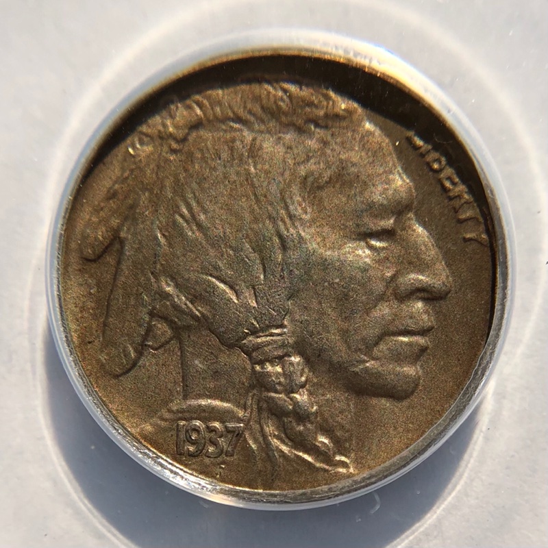 My-ANACS-Submission-Of-Buffalos