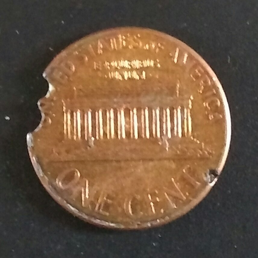 2006-D-Clip-Or-Simply-Rot?