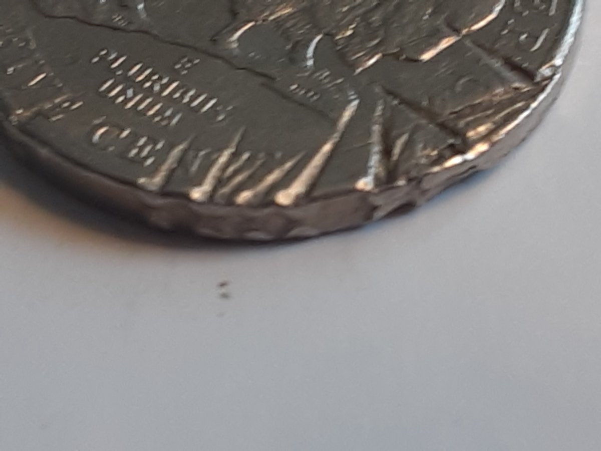 2005-American-Bison-Nickel-PMD,-Lamination,-Cracked-Planchet?