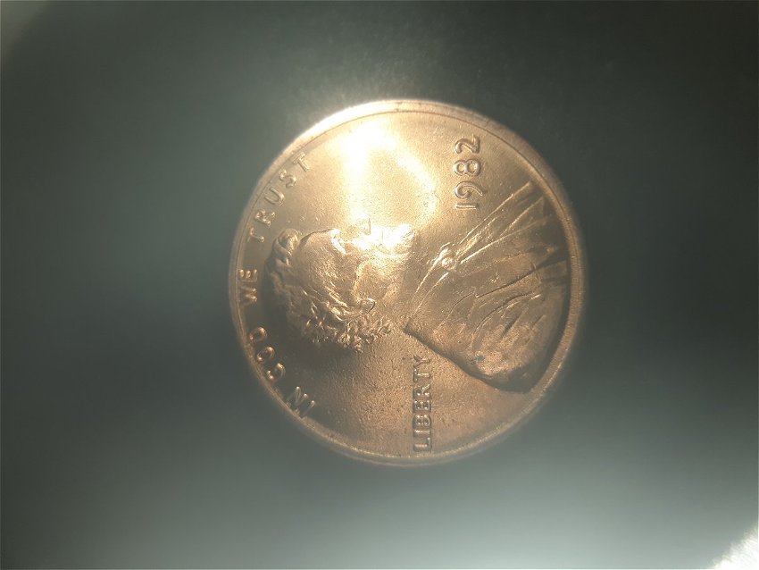 1982-Large-Date-Zinc-Cent-DDO-Or-DDR?--Need-Help-Please