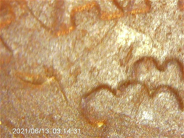 The-2004-D-Copper-Dime-No-Clad