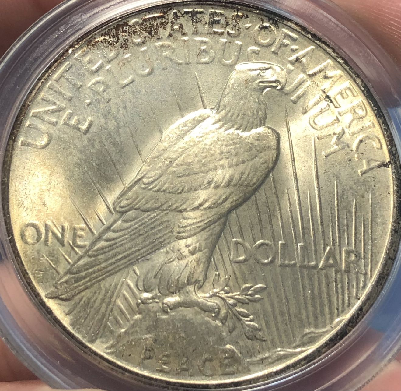 A-Nice-Example-Of-1925-Peace-Dollar
