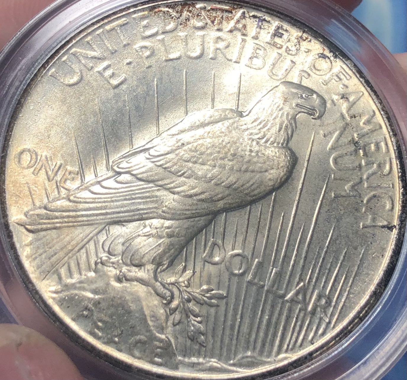 A-Nice-Example-Of-1925-Peace-Dollar