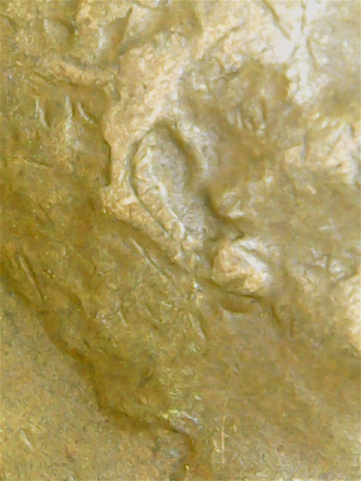 1941-Wheat-Cent-Believed-To-Be-WDDO-005?--Could-Use-More-Opinions-Please