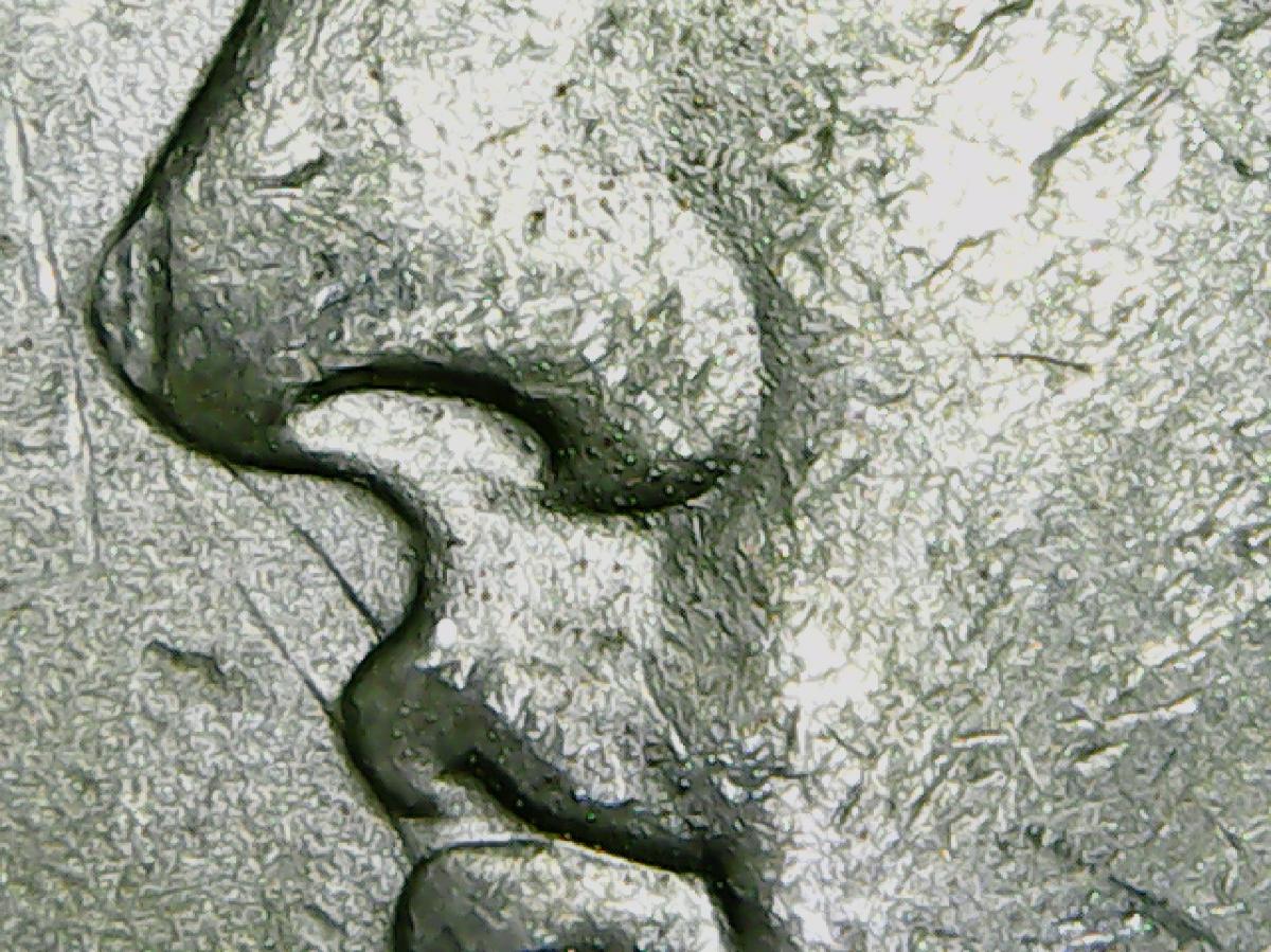 1982-O-Morgan-Dollar-Help-Please.-The-Reverse-Has-More-Of-Whatever-This-Is.