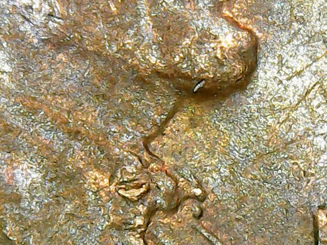 1977-Lincoln-Memorial-Cent-Weighs-Approximately-2.5-Grams!