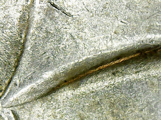 Seeking-Opinions-On-1925-P-Peace-Dollar-For-Condition-And-DD-Potential-Re