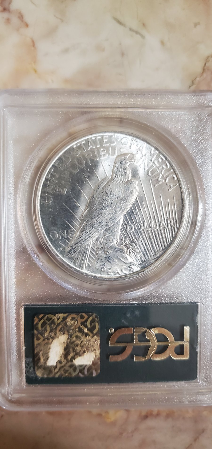 Does-This-Look-Like-A-Detached-Olive-Branch-On-This-1922-D-Peace-Dollar?