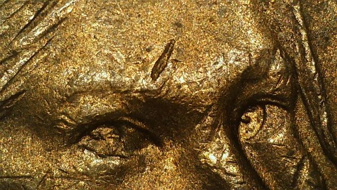 2000-P-Dollar-Coin-Die-Chip-In-Side-Eye