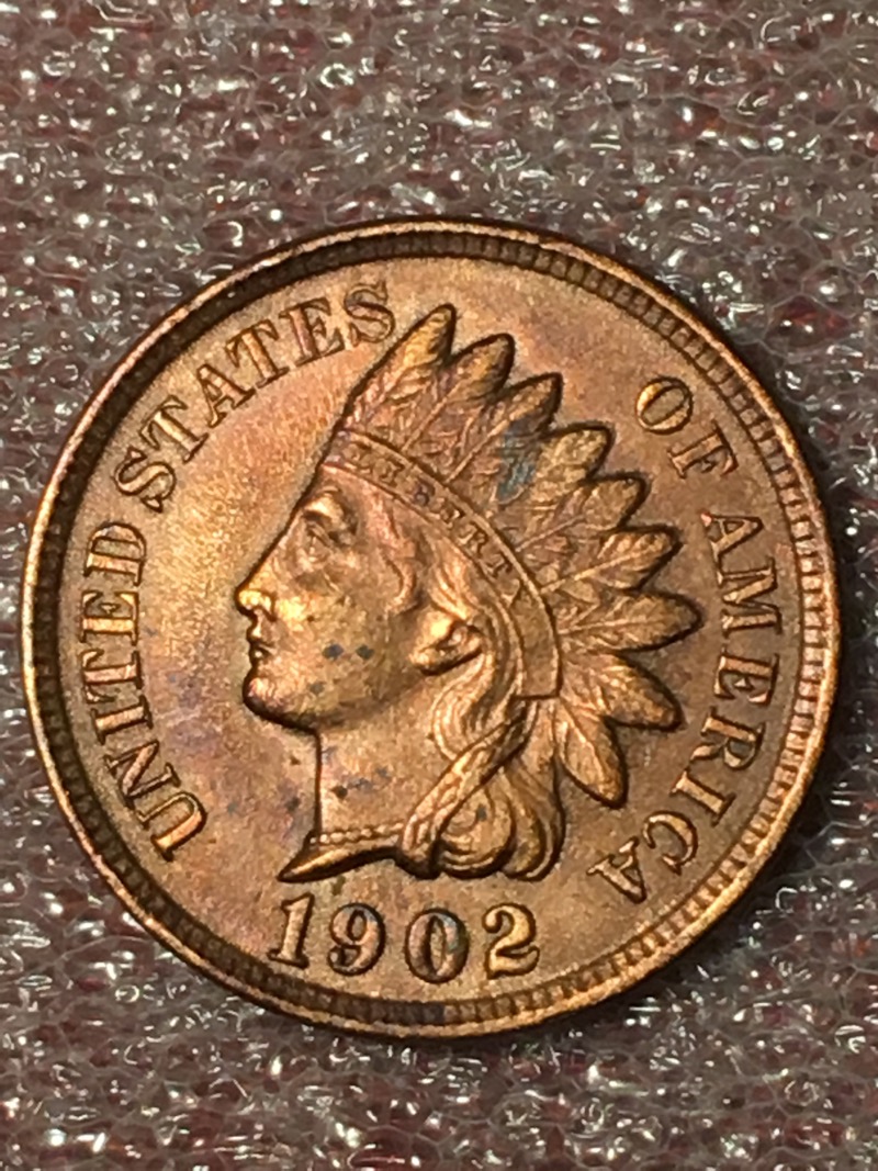 1902-Indian-Head-Cent-For-Grading