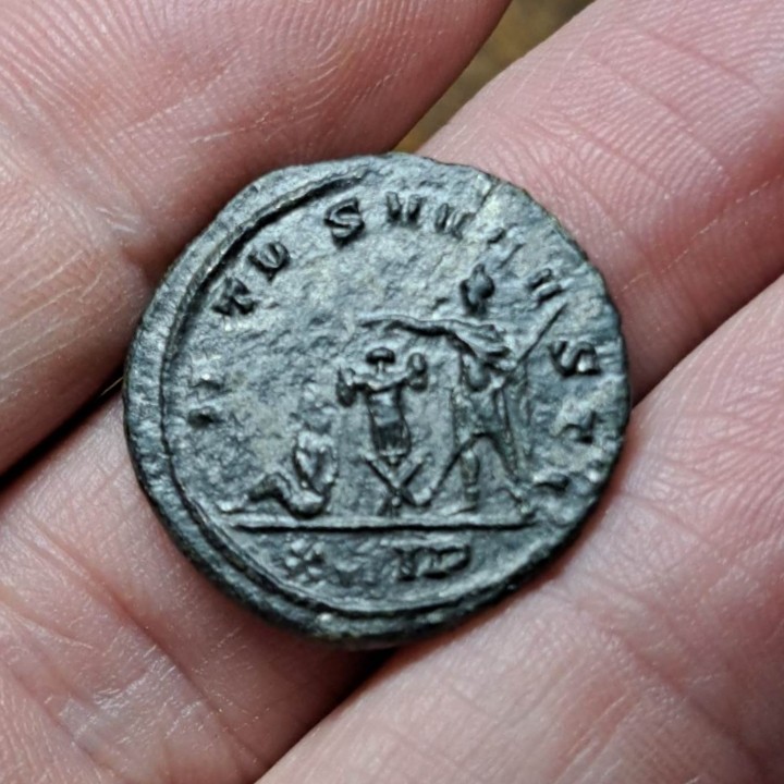 Possible-Unlisted-Probus-From-Siscia.-Any-Help-Will-Be-Greatly-Appreciated!