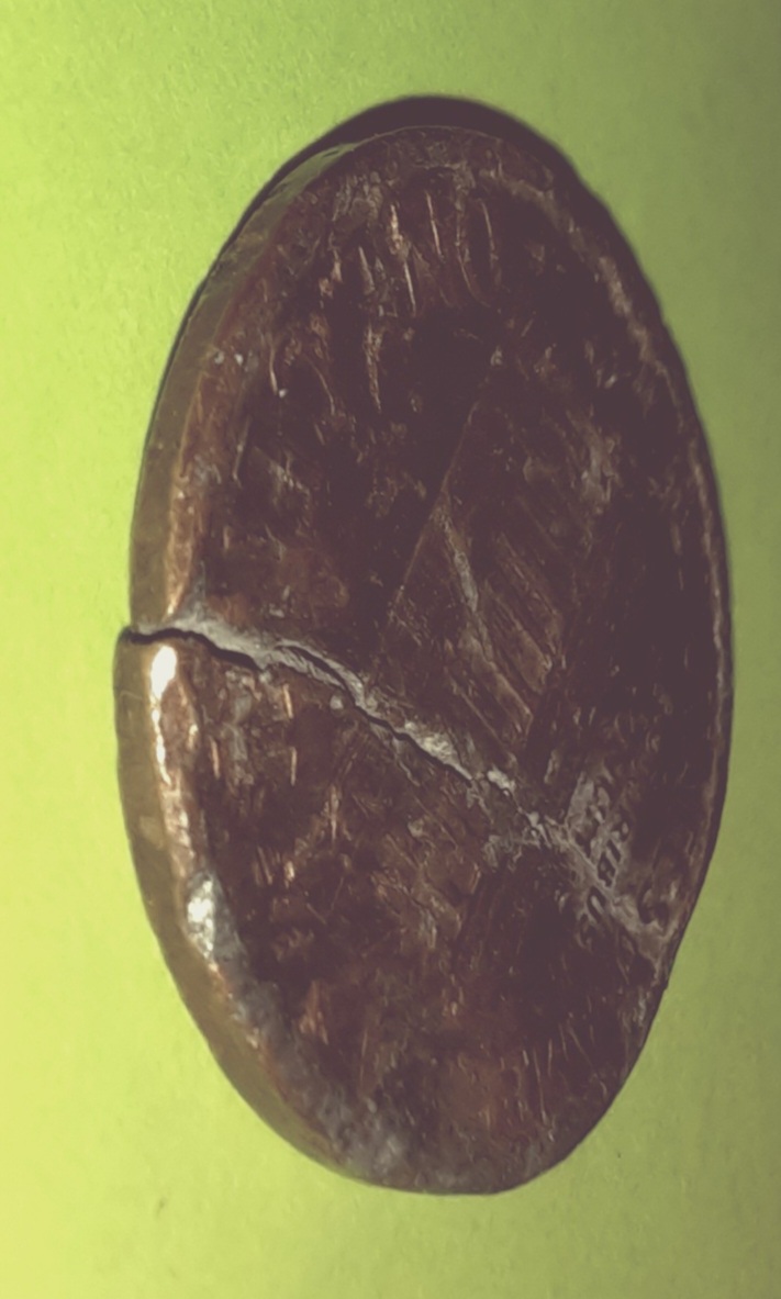 Any-Opinions-Concerning-This-Penny?-1995-D