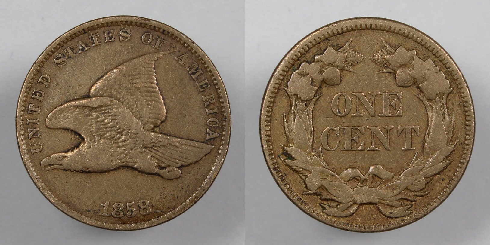 51-Days-Of-Flying-Eagle-And-Indian-Head-Cents!---Part-4!!