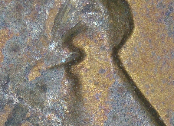 1956-P-LWC-DDO-Eyelid