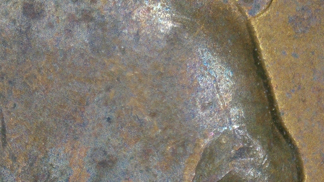 1956-P-LWC-DDO-Eyelid