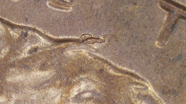 2017-P-Lincoln-Shield-With-Obverse-Die-Break