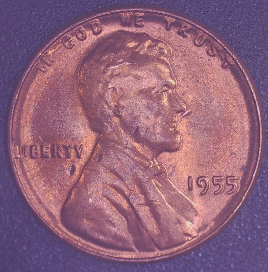 1955-P-LWC-Potential-WDDO-003