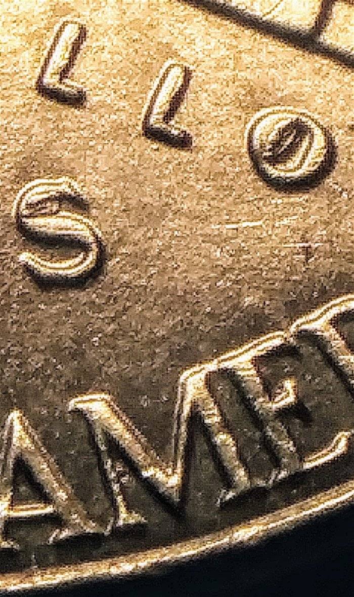 2017-P-Nickel-Die-Chips-On-Reverse.