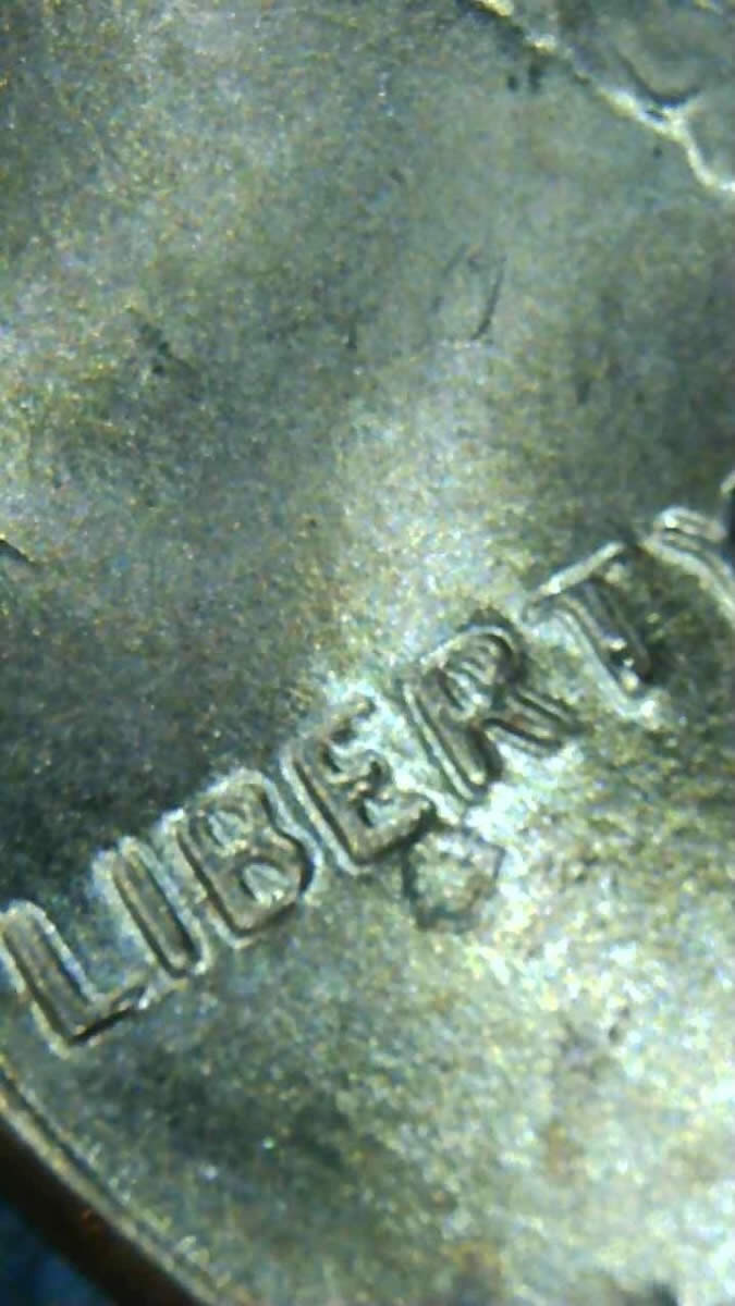 2017-P-Shield-Series-Penny--What-Do-You-Think?