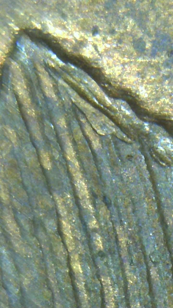 1956-Wheat-Cent-In-Pretty-Good-Condition